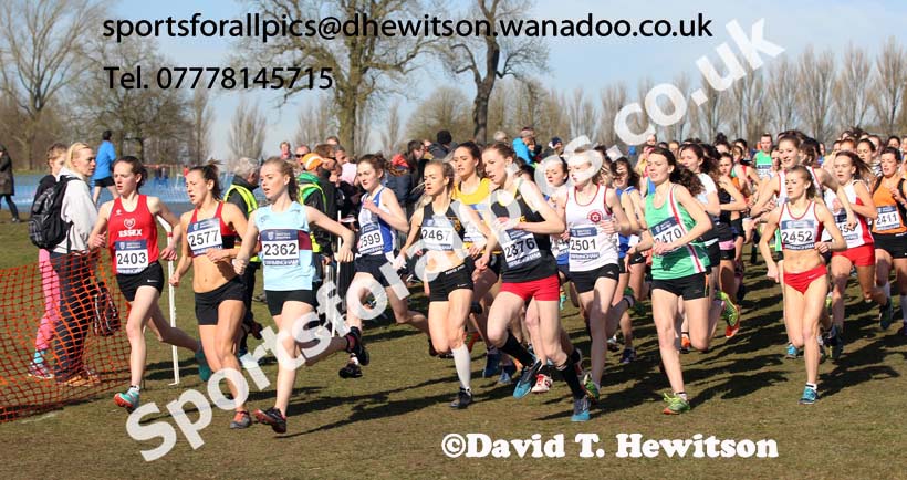 Womens under-20s Inter Counties Cross Country,  Cofton Park, Birmingham. Photo: David T. Hewitson/Sports for All Pics
